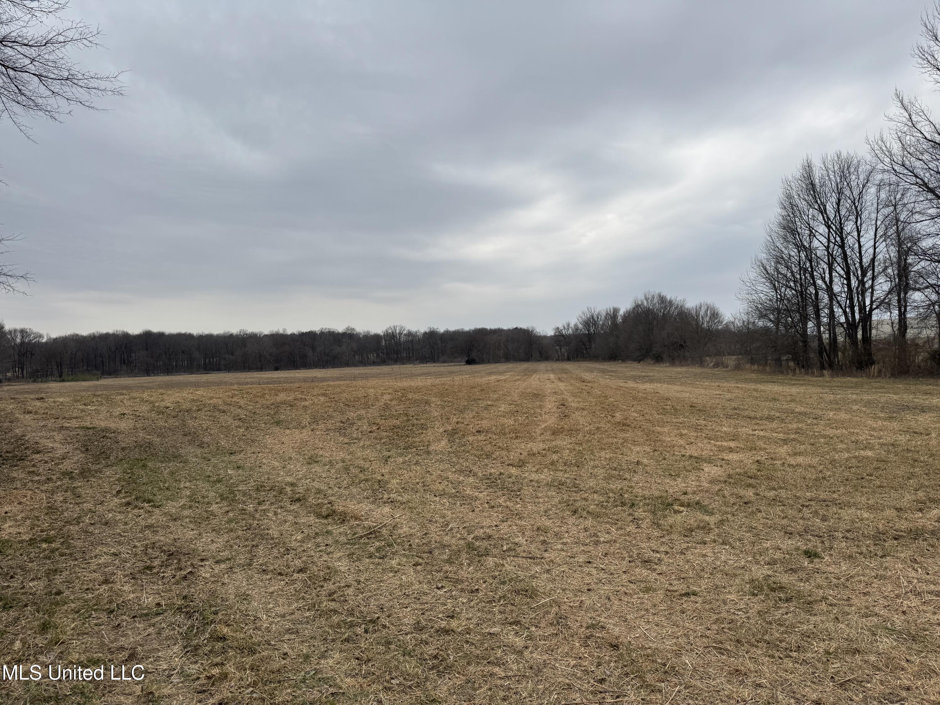 51 South Old Highway Hernando, MS 38632 - Photo 16 of 27 IMG_3314