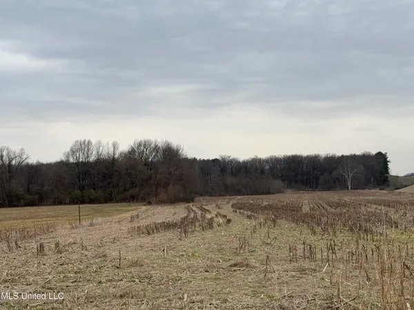 $1,750,000 | 51 South Old Highway, Hernando, MS 38632