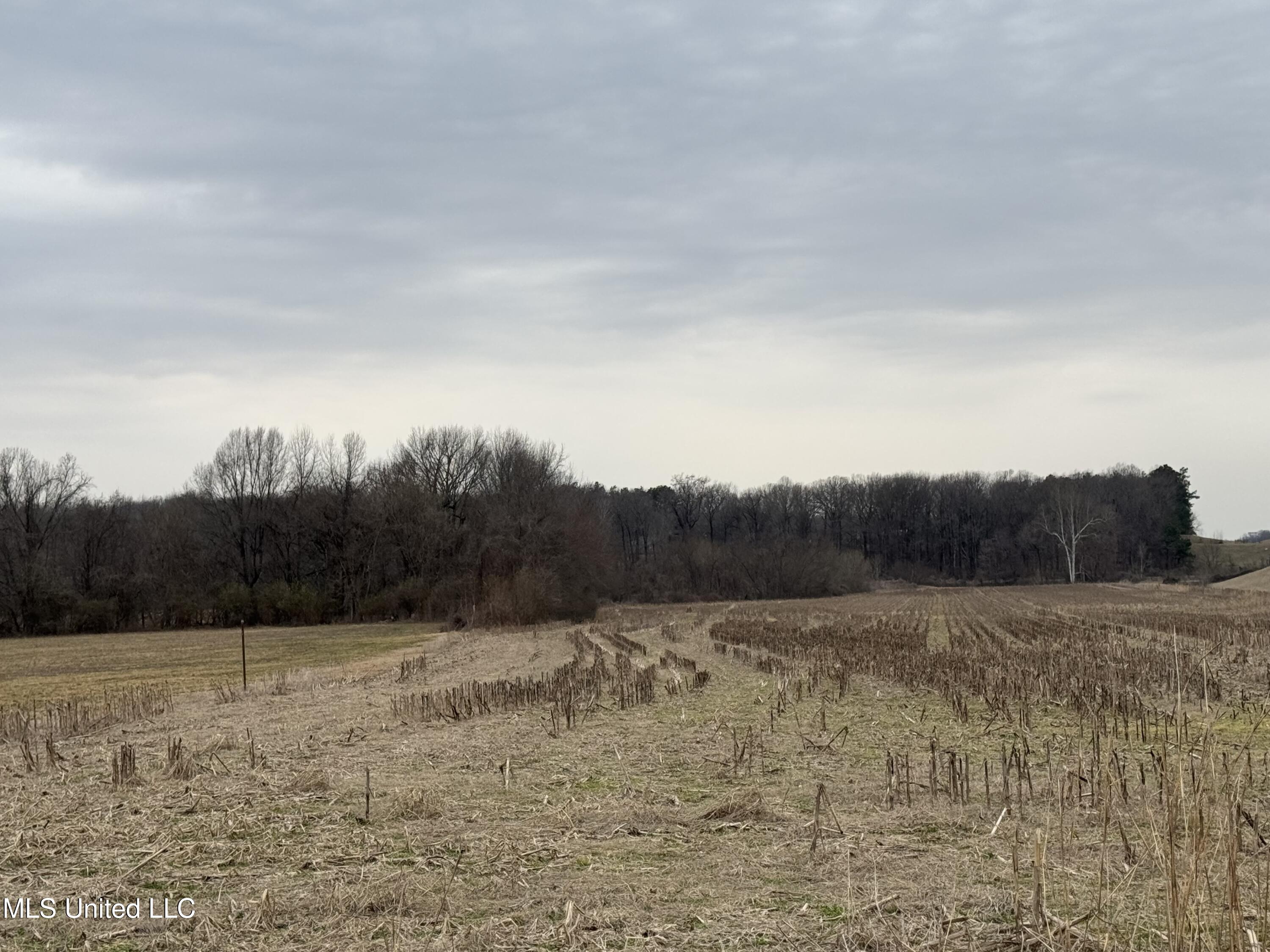 51 South Old Highway Hernando, MS 38632 - Photo 17 of 27 IMG_3320