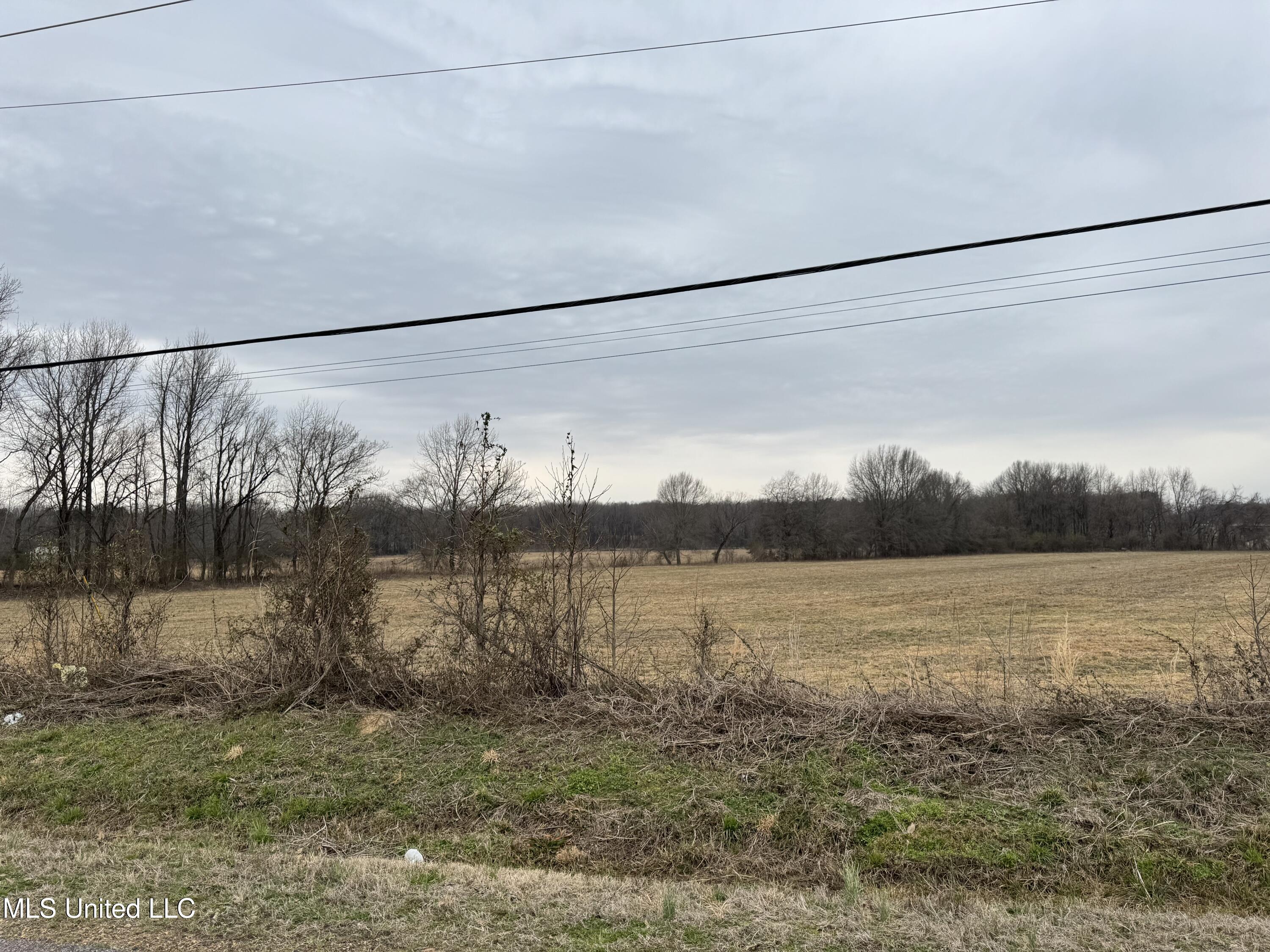 51 South Old Highway Hernando, MS 38632 - Photo 19 of 27 IMG_3316