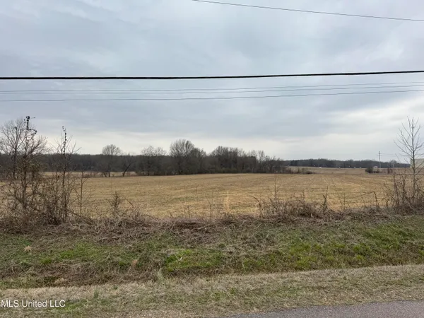 $1,750,000 | 51 South Old Highway, Hernando, MS 38632