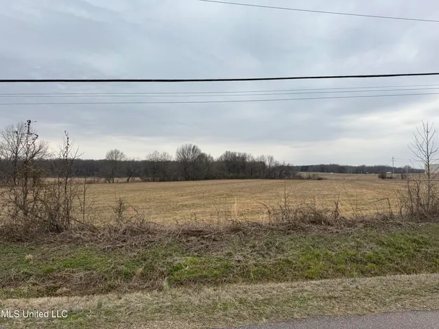 $1,750,000 | 51 South Old Highway, Hernando, MS 38632