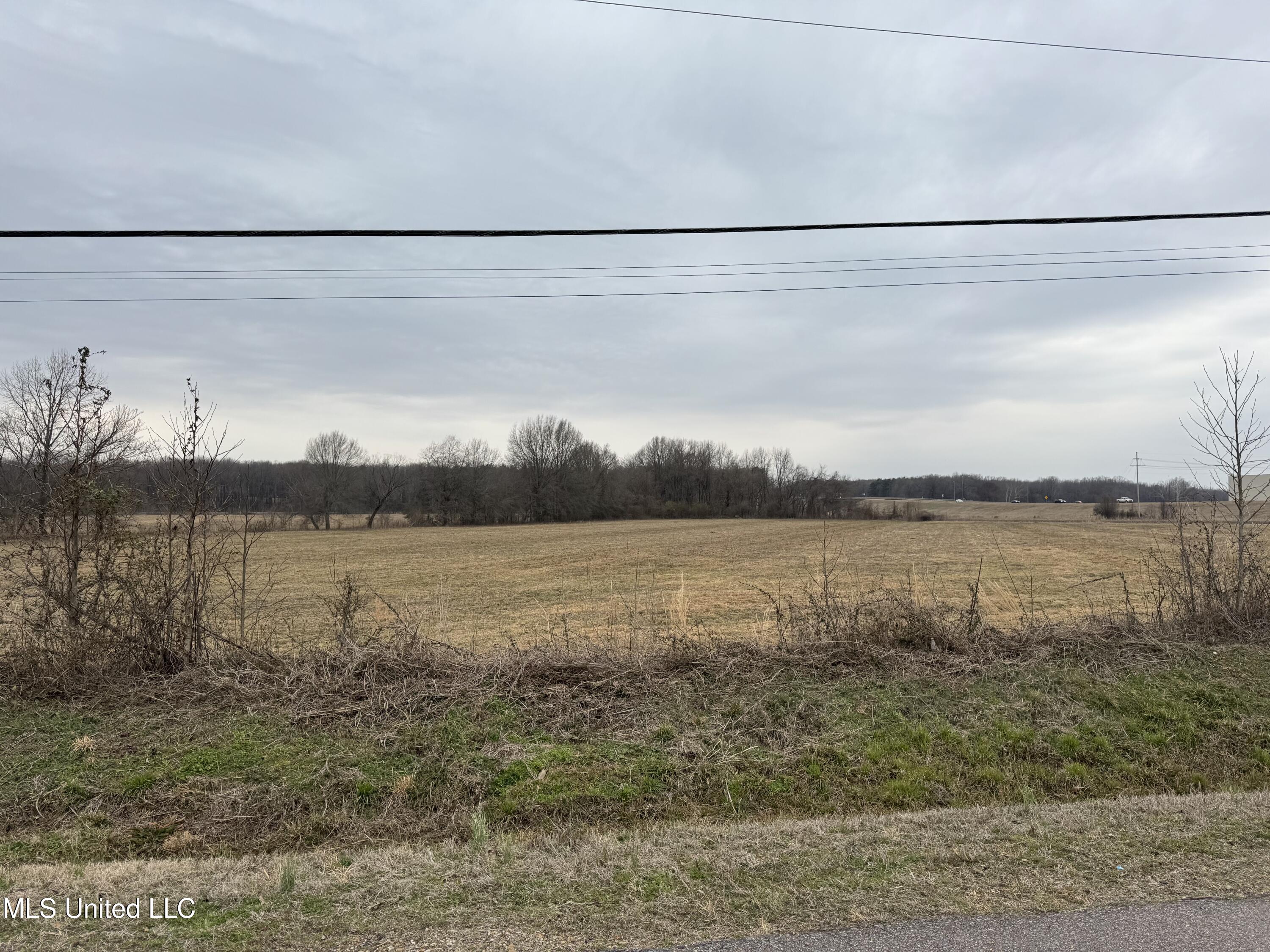 51 South Old Highway Hernando, MS 38632 - Photo 20 of 27 IMG_3315