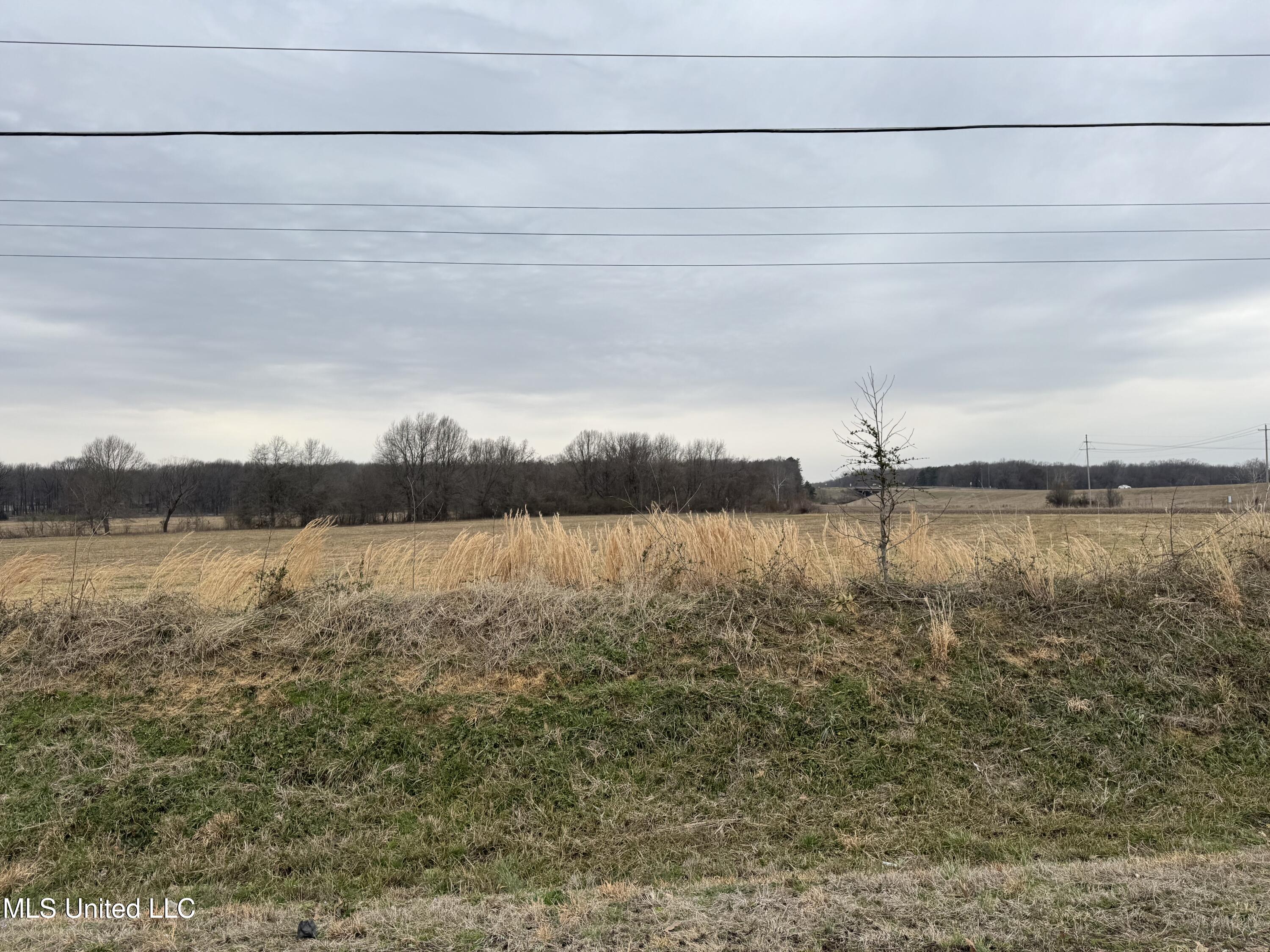 51 South Old Highway Hernando, MS 38632 - Photo 21 of 27 IMG_3317