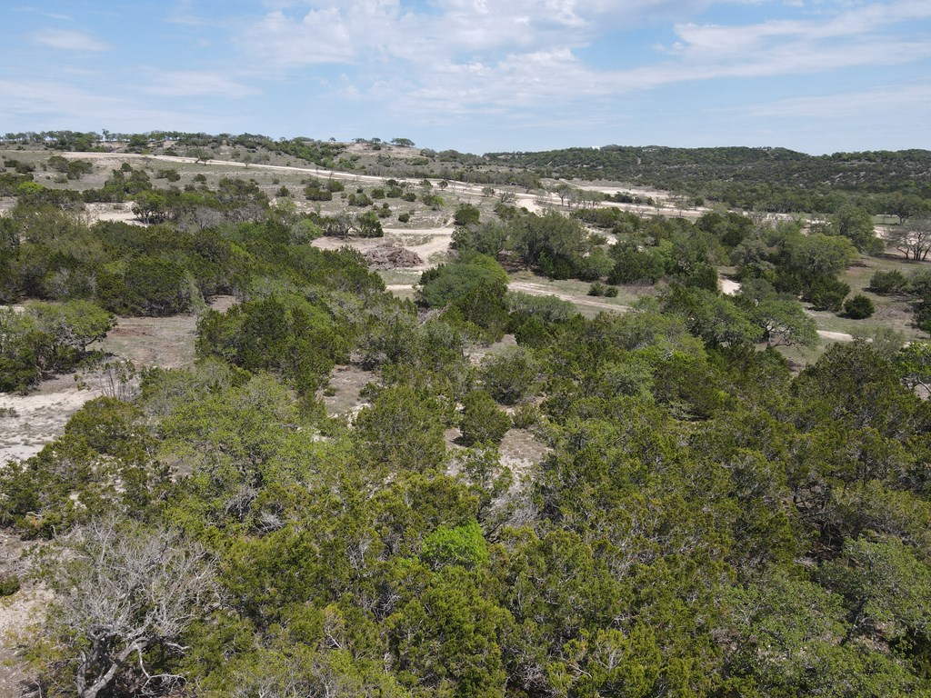 Lot 181 West Starview Road, Unit 181 Blanco, TX 78606 - Photo 14 of 32 Gallery Image 14