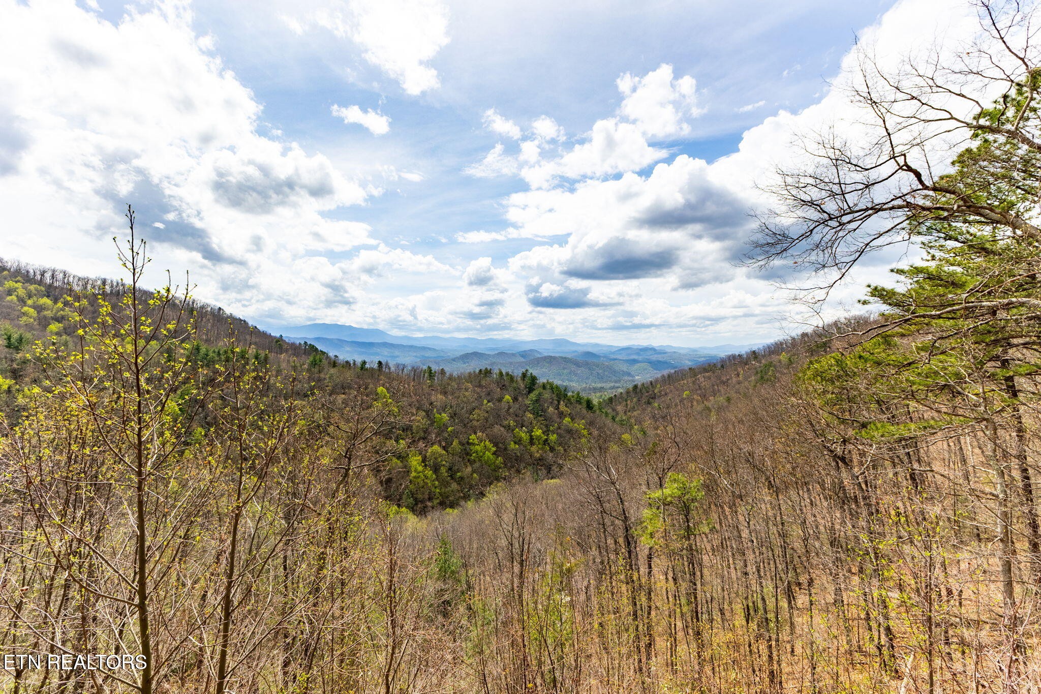 1115 Red Maple Lane Sevierville, TN 37876 - Photo 11 of 55 a view of a city of mountains