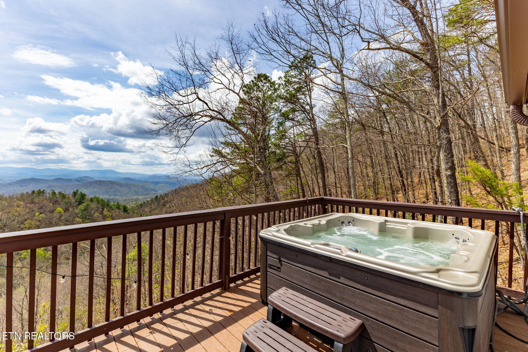 1115 Red Maple Lane Sevierville, TN 37876 - Photo 47 of 55