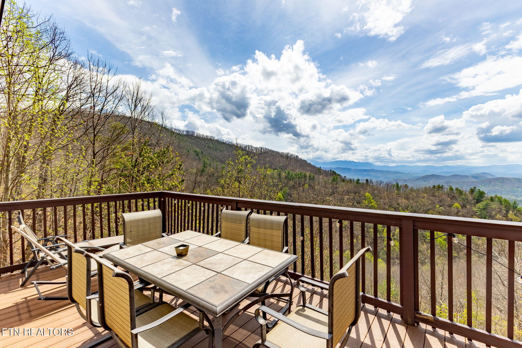 1115 Red Maple Lane Sevierville, TN 37876 - Photo 49 of 55