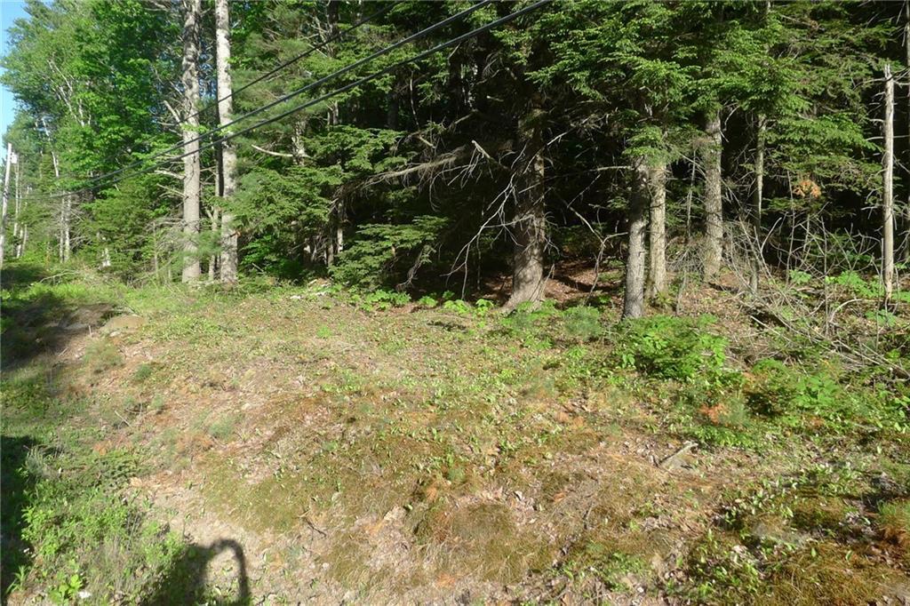 0 Camden Road Hope, ME 04847 - Photo 5 of 6 Photo