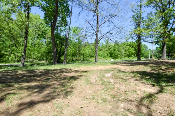 a view of outdoor space with trees