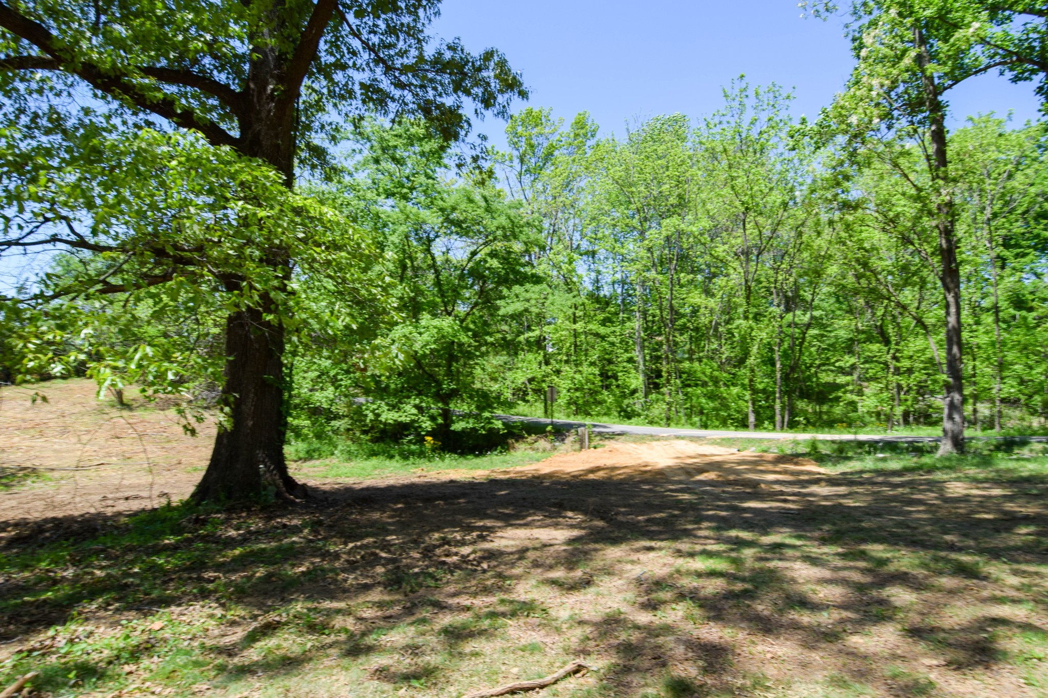 430 S Road Cottontown, TN 37048 - Photo 11 of 20 a view of a yard with plants and trees