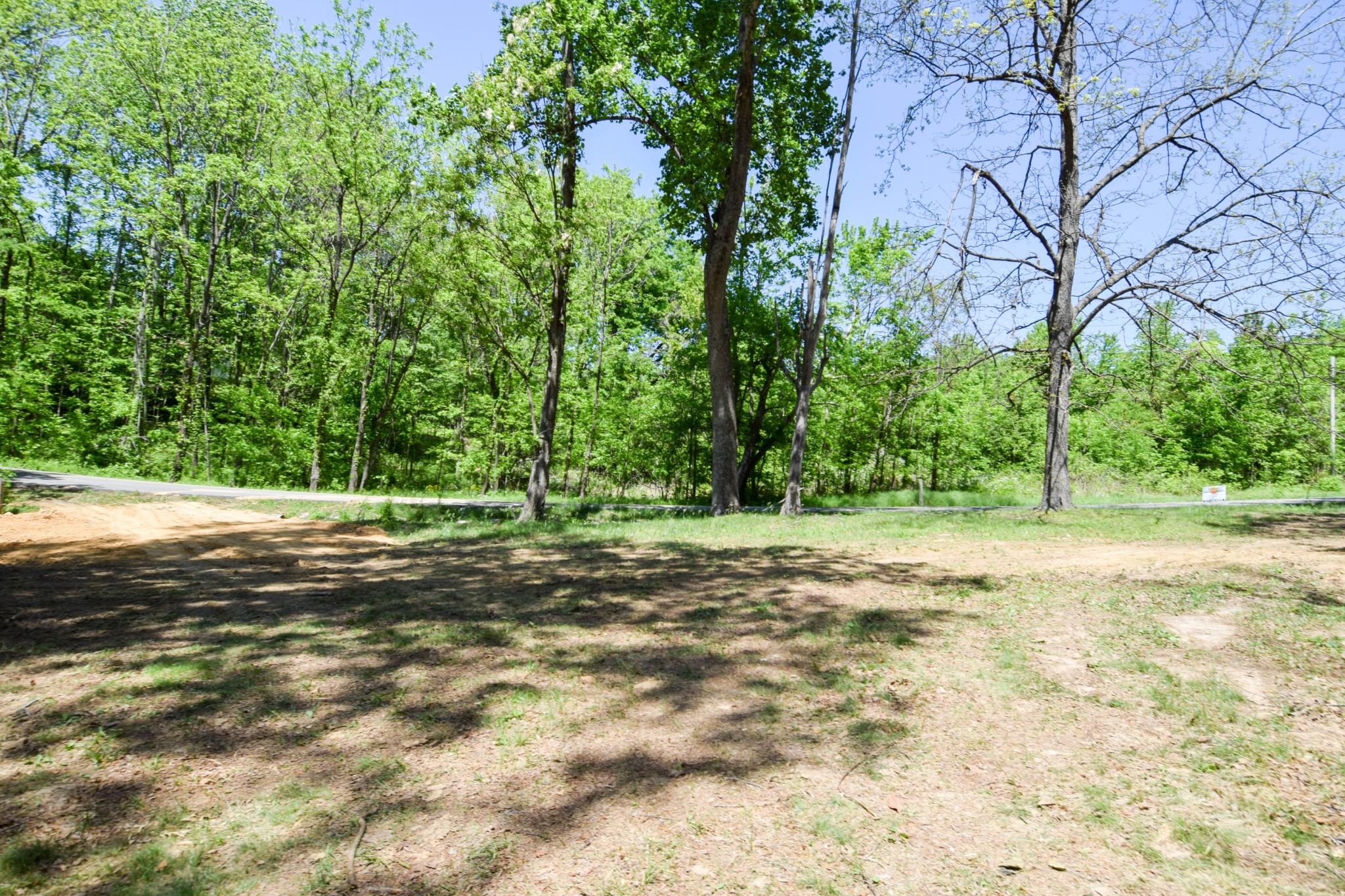 430 S Road Cottontown, TN 37048 - Photo 12 of 20 a view of a yard with plants and trees