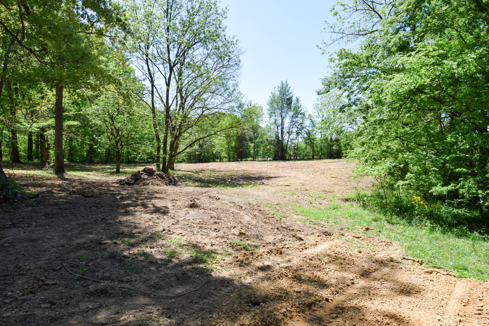 430 S Road Cottontown, TN 37048 - Photo 13 of 20 a view of outdoor space with trees