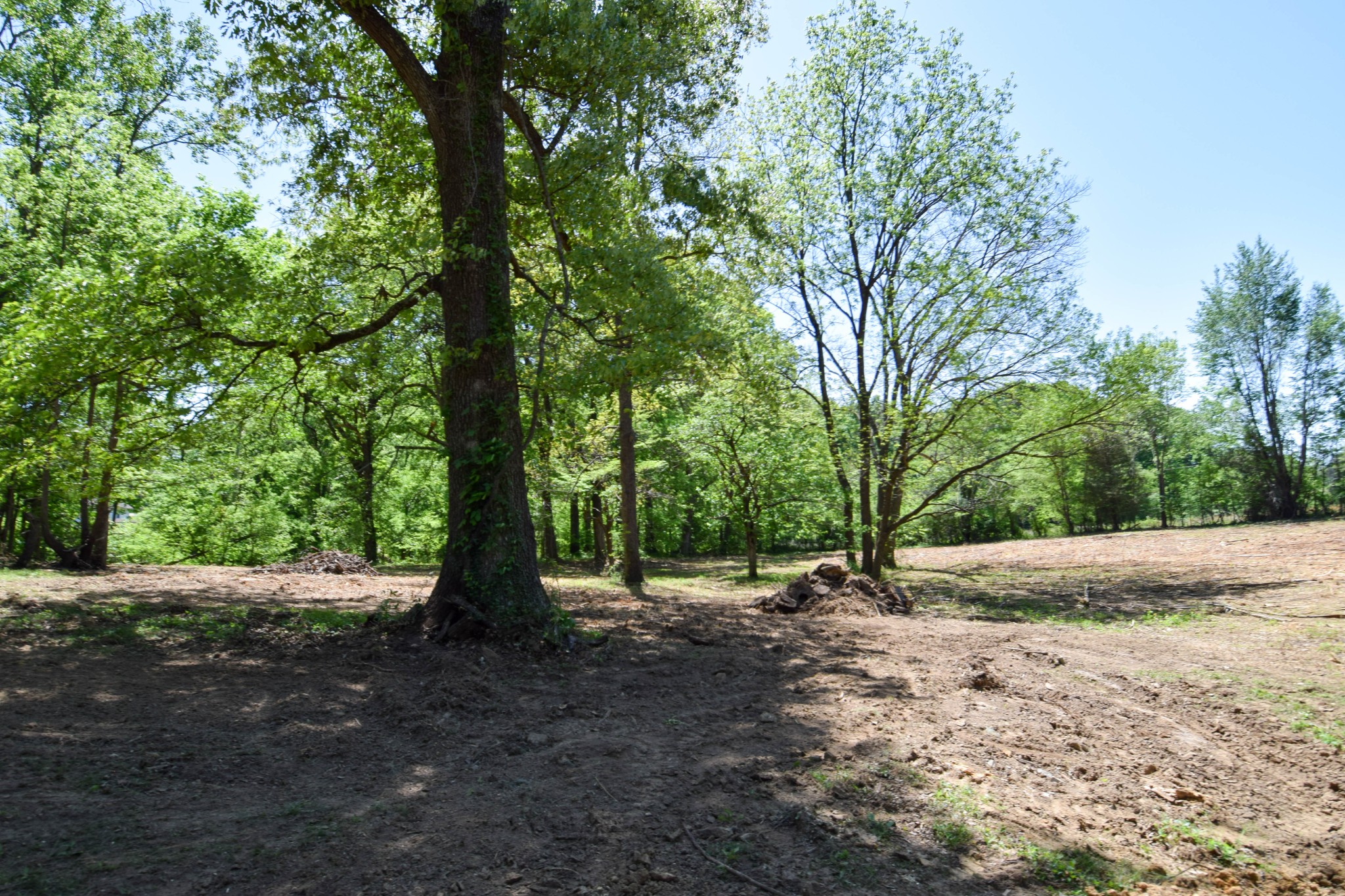 430 S Road Cottontown, TN 37048 - Photo 15 of 20 a view of outdoor space with trees