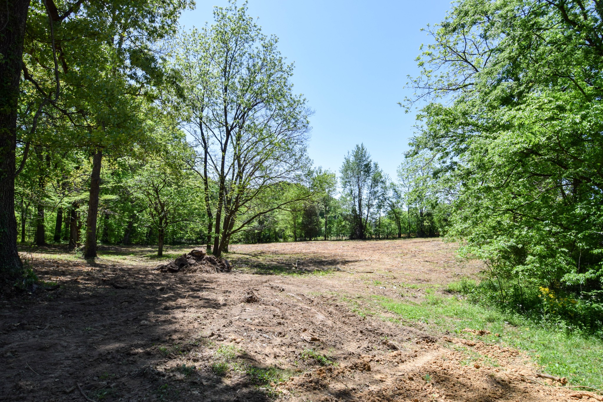 430 S Road Cottontown, TN 37048 - Photo 17 of 20 a view of road with large trees