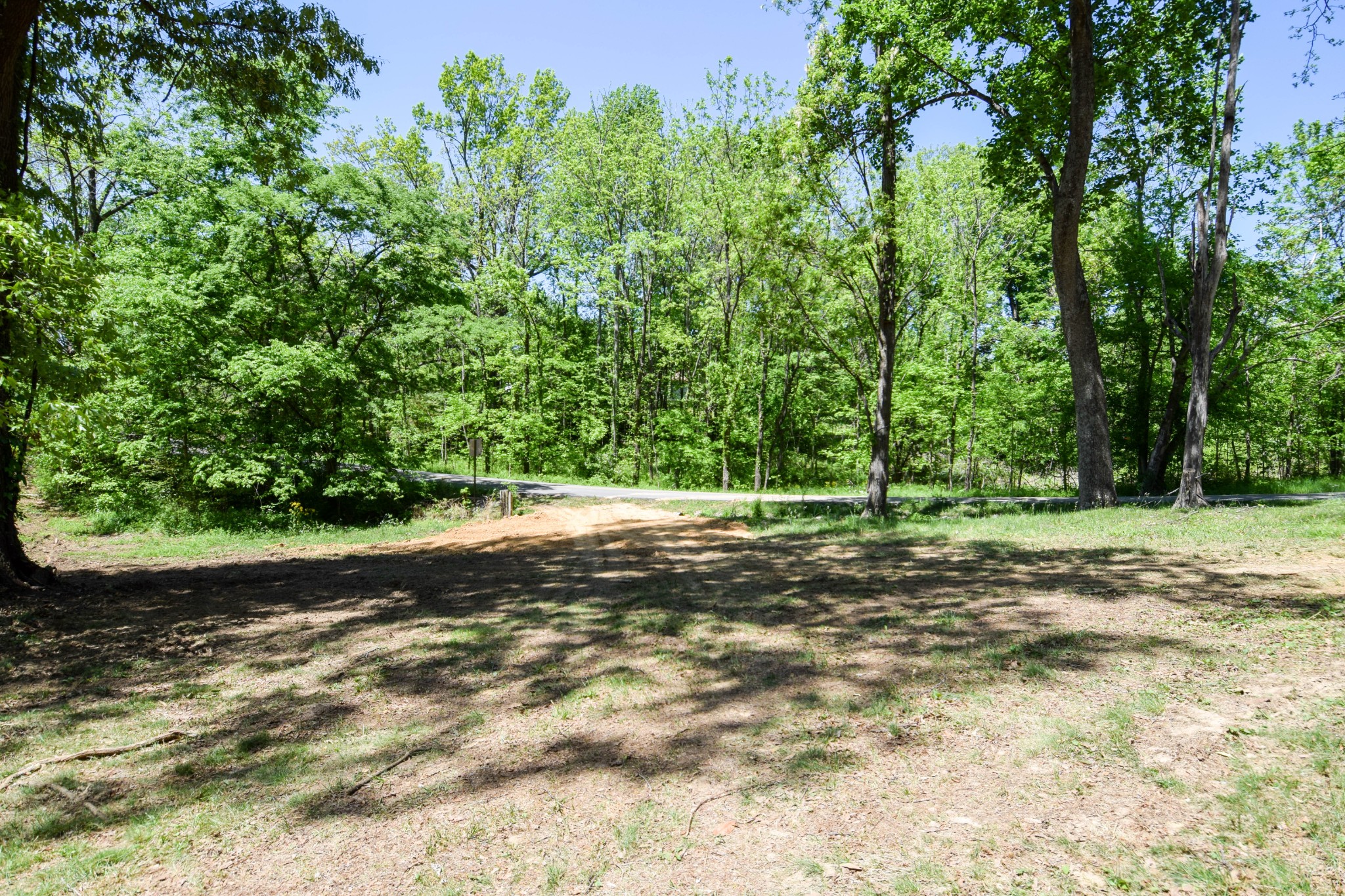 430 S Road Cottontown, TN 37048 - Photo 2 of 20 a view of a yard with a tree