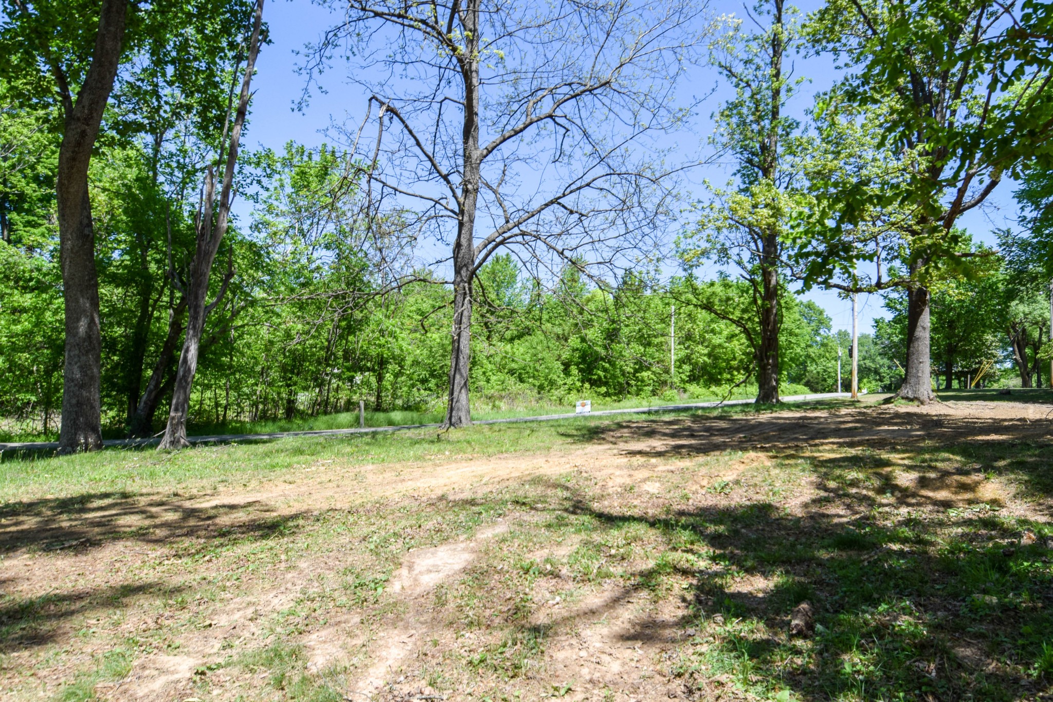 430 S Road Cottontown, TN 37048 - Photo 3 of 20 a view of a yard with a tree
