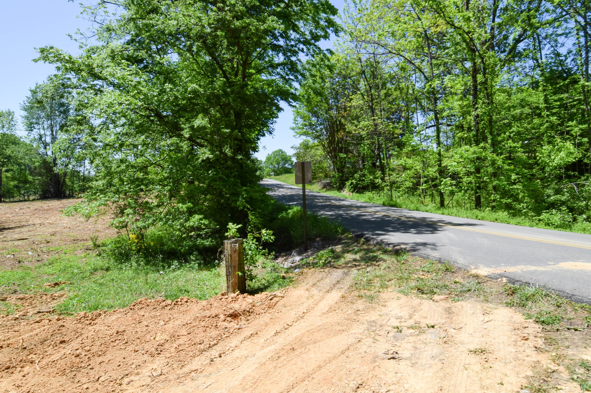 430 S Road Cottontown, TN 37048 - Photo 5 of 20 a view of a yard with plants and trees