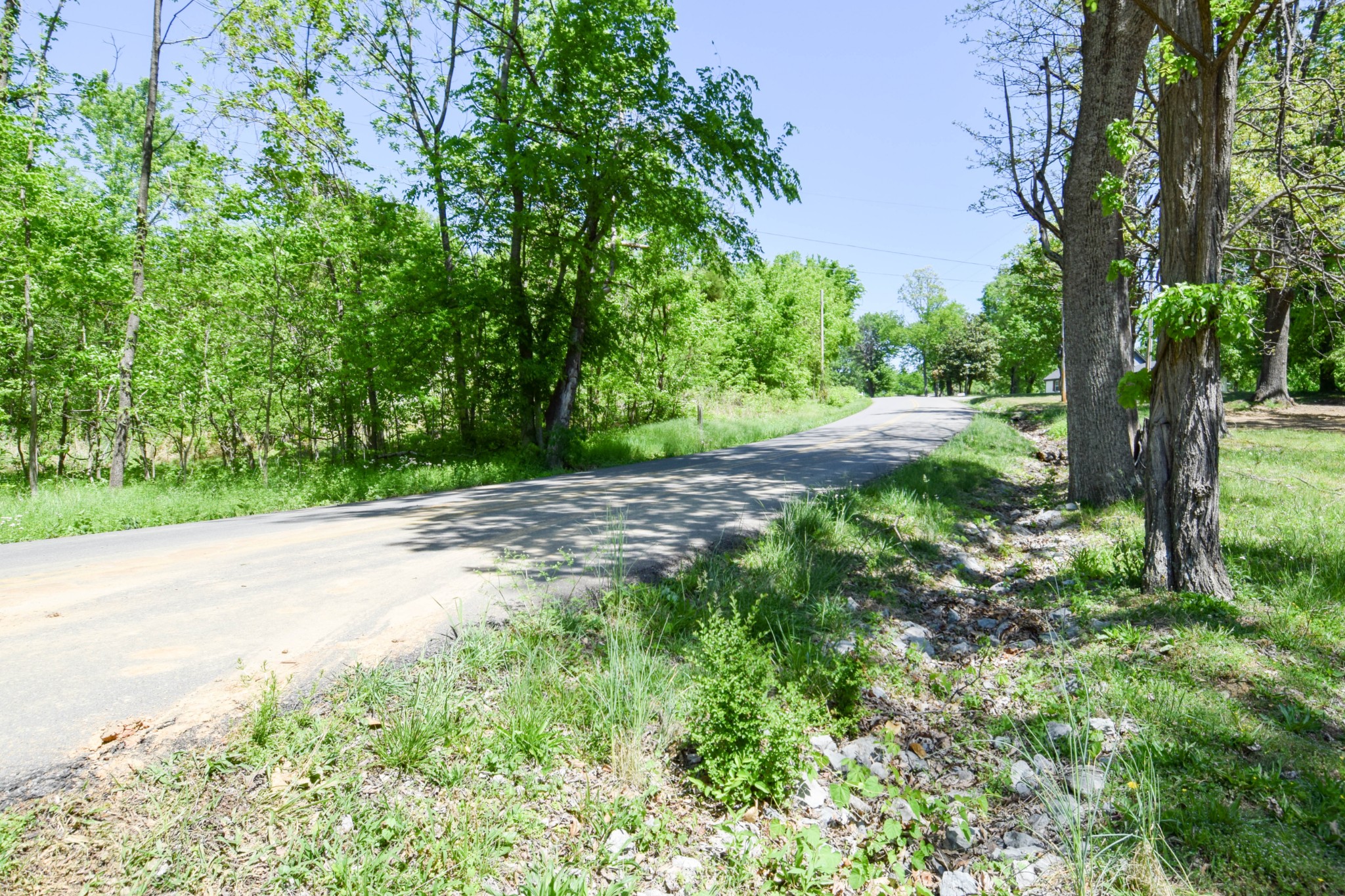 430 S Road Cottontown, TN 37048 - Photo 6 of 20 a view of a yard with large trees