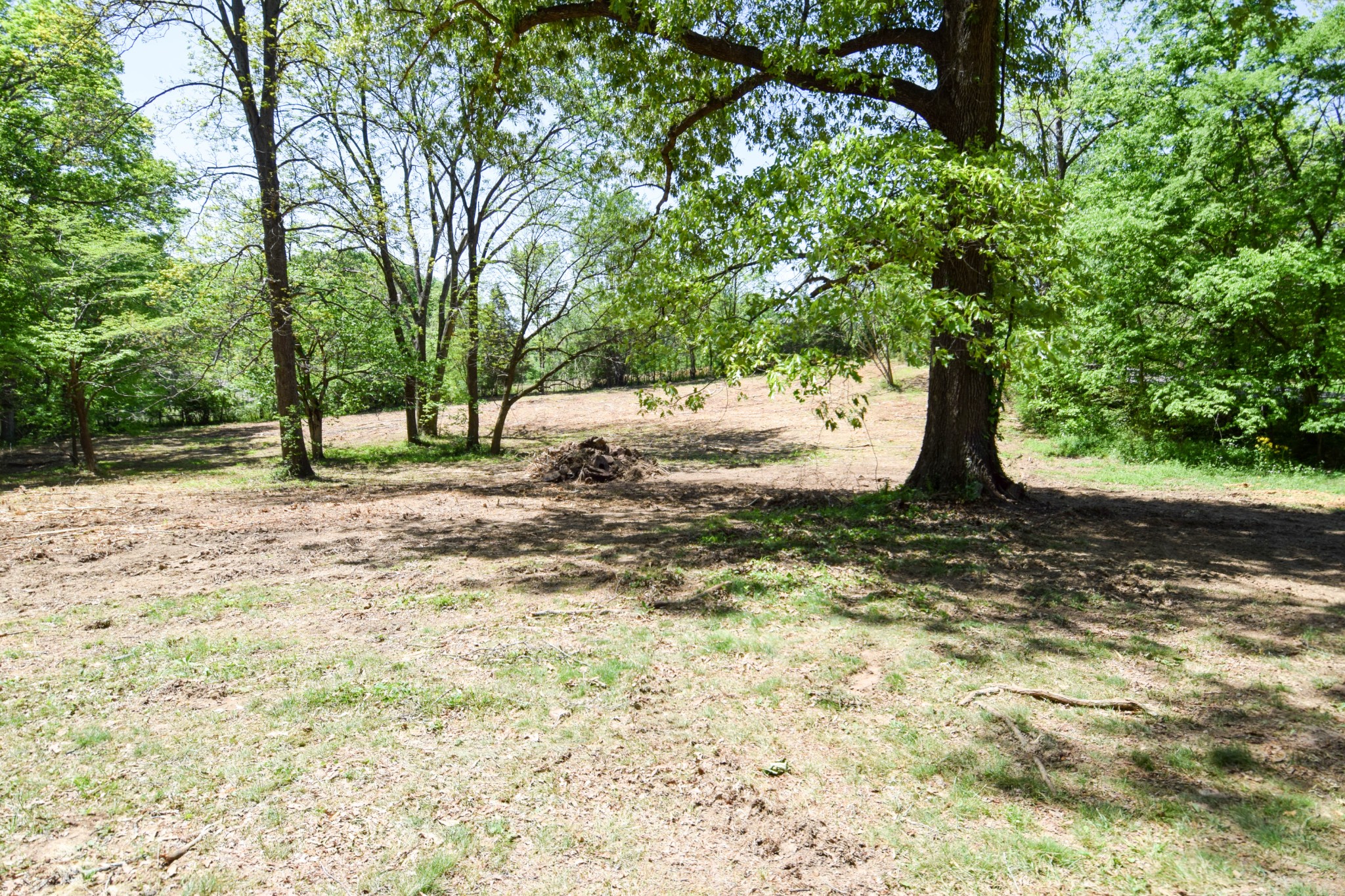 430 S Road Cottontown, TN 37048 - Photo 7 of 20 a view of outdoor space with trees