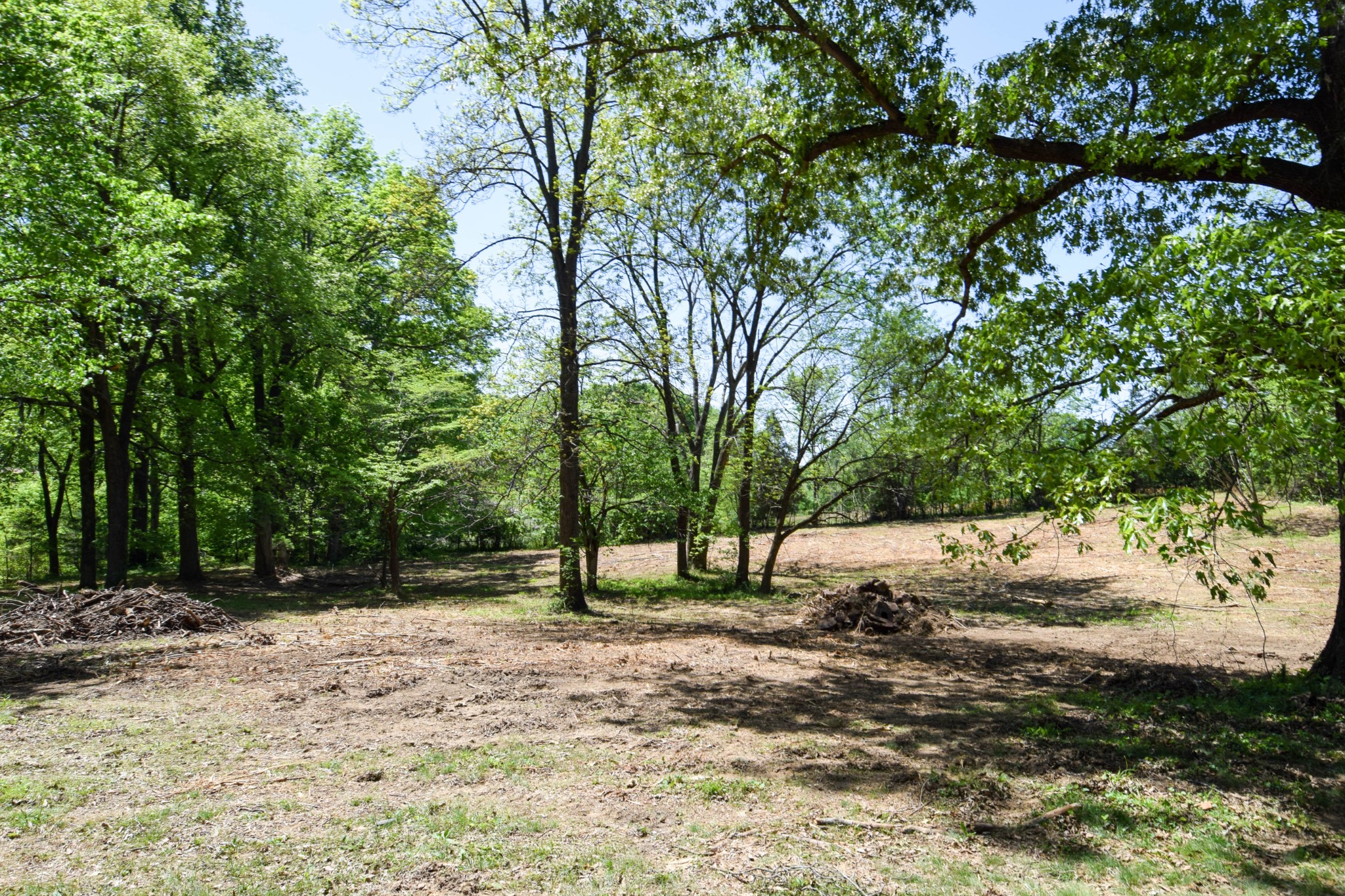 430 S Road Cottontown, TN 37048 - Photo 8 of 20 a view of backyard with tree