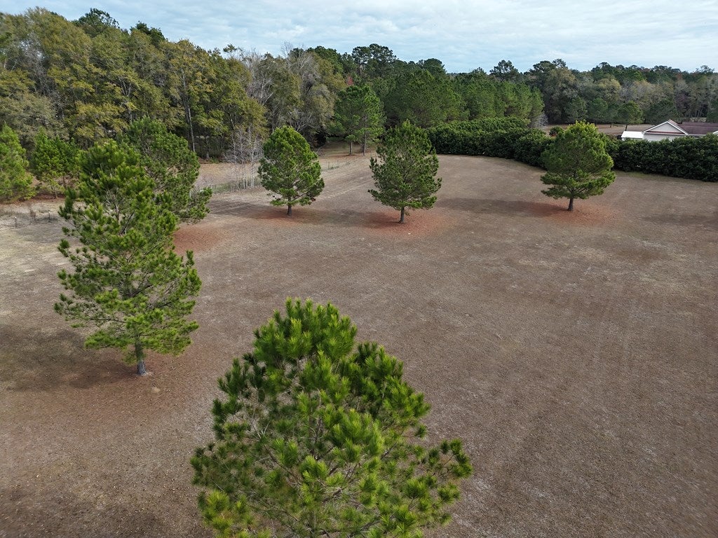 2-acr Lewis Road Cairo, GA 39828 - Photo 10 of 24 Gallery Image 10