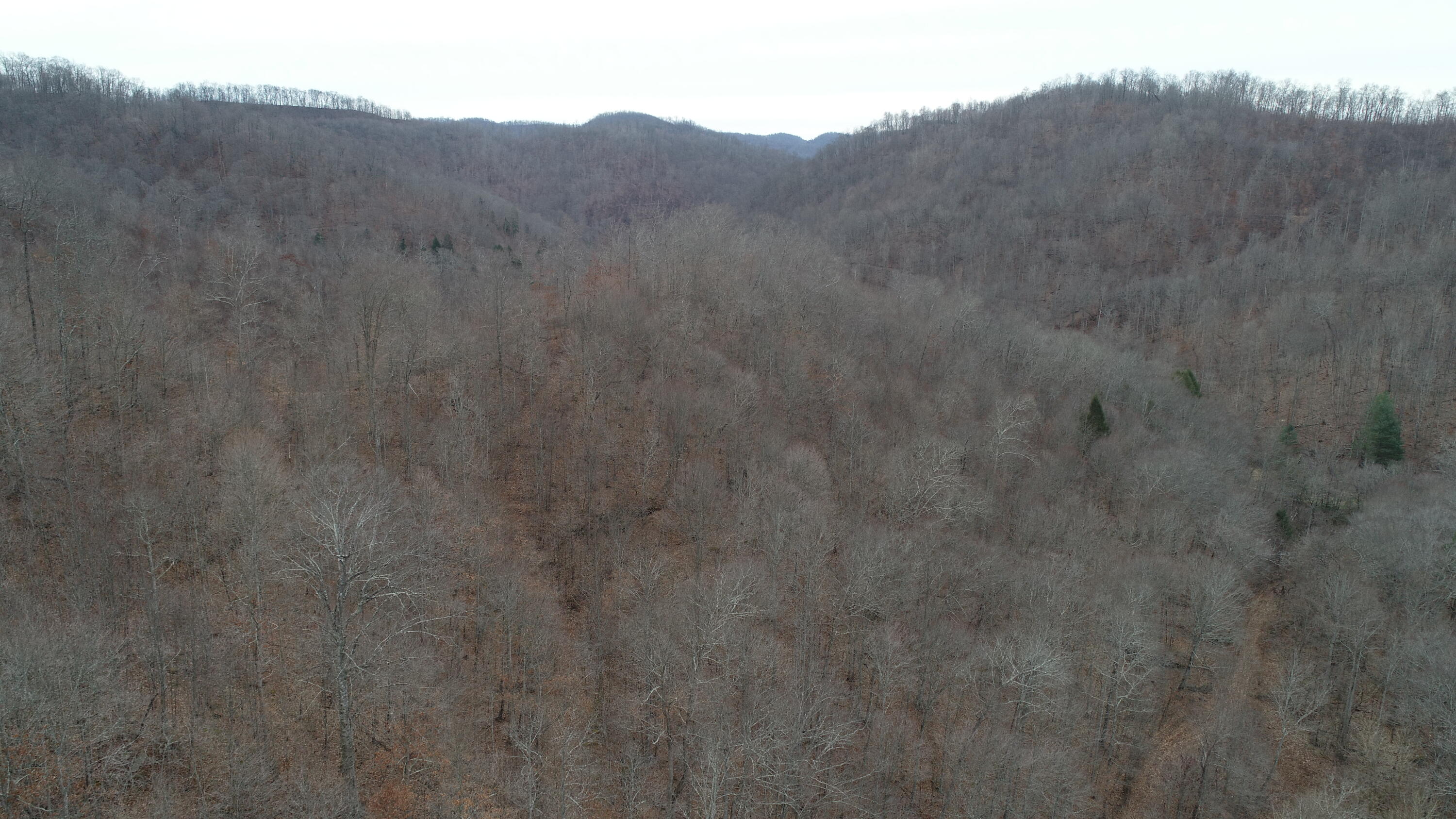 9999 Henry Branch Rd Flat Walker, KY 40997 - Photo 12 of 14 DJI_0399