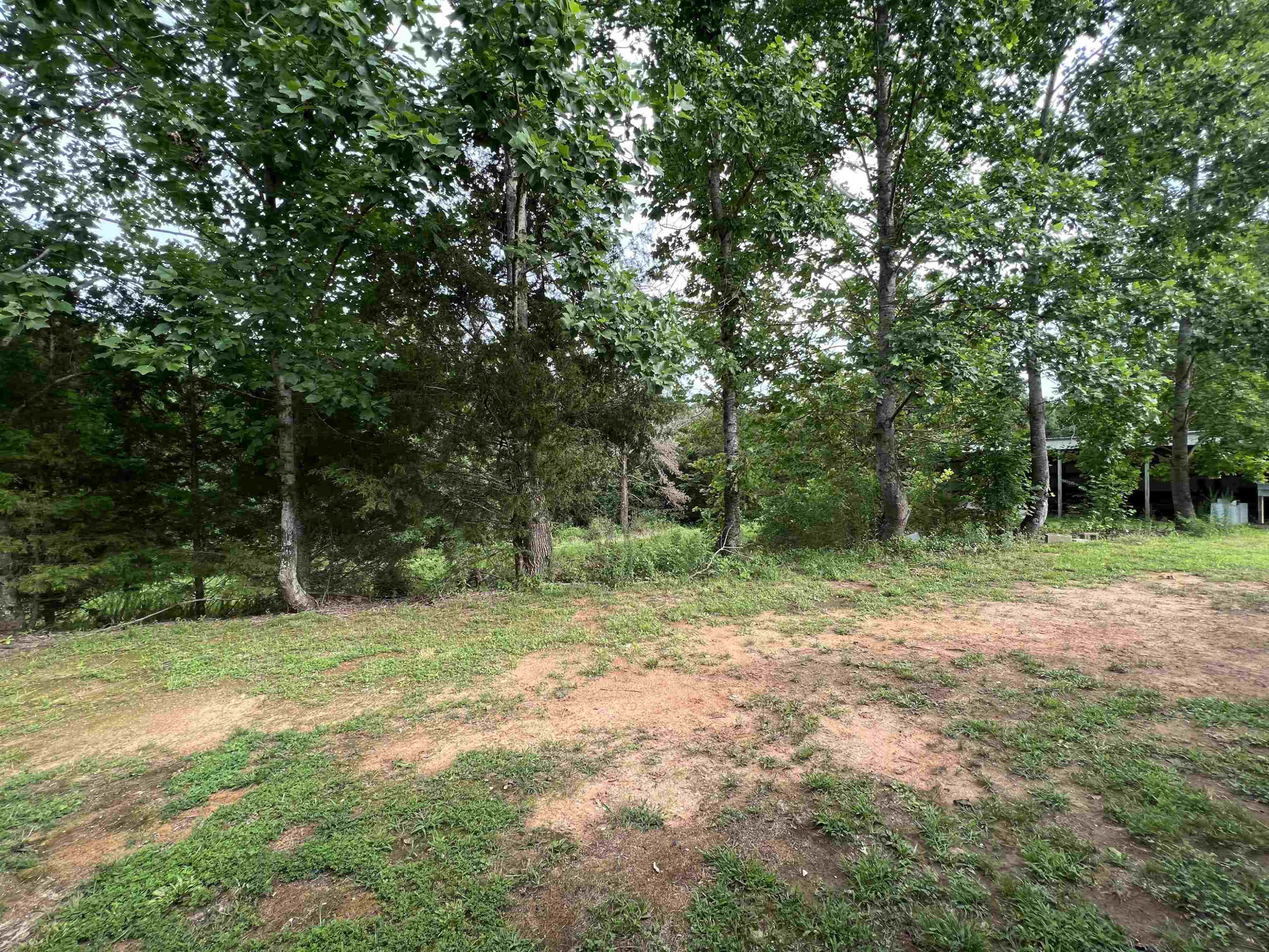 6100 Enville Road Henderson, TN 38340 - Photo 24 of 25 a view of outdoor space with trees all around