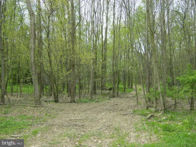 a view of outdoor space with green space and trees