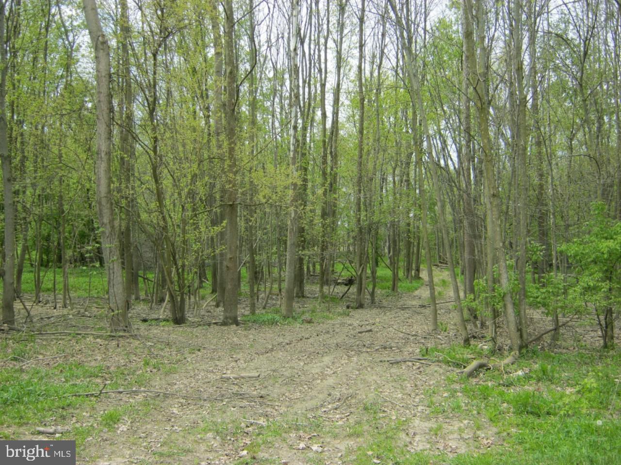 1725 Accokeek Road Accokeek, MD 20601 - Photo 1 of 5 a view of outdoor space with green space and trees