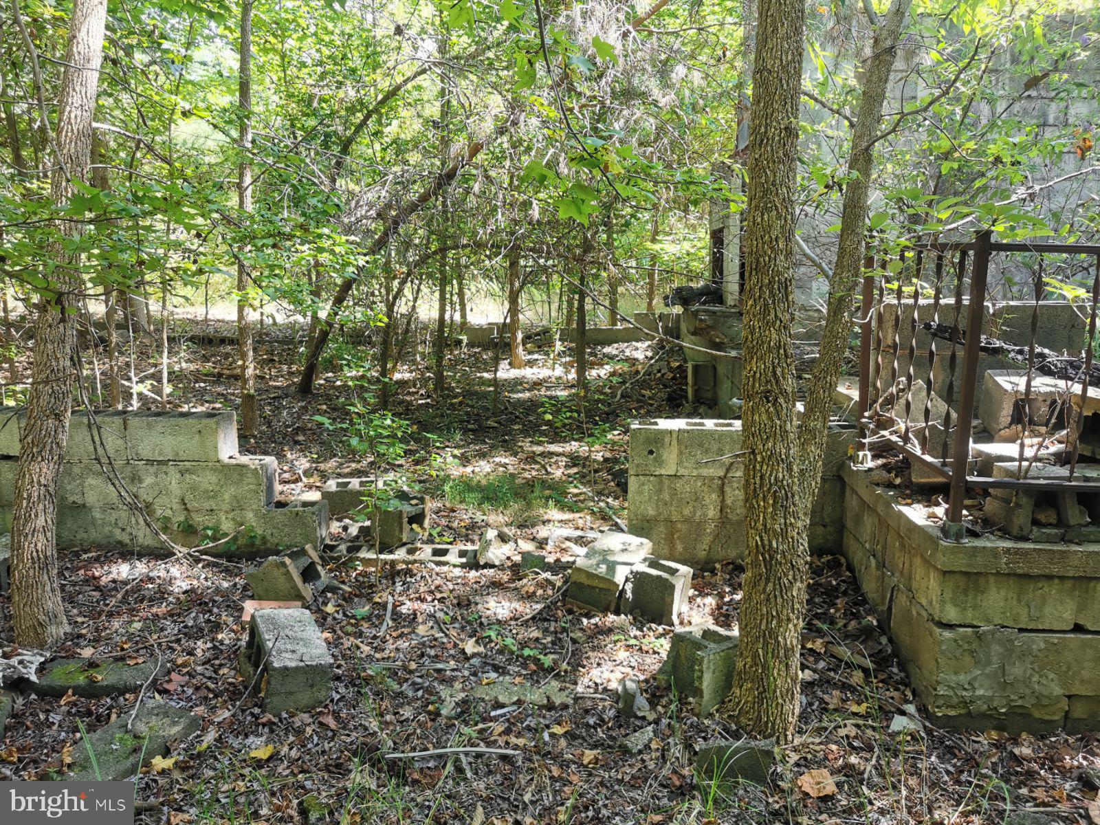 1725 Accokeek Road Accokeek, MD 20601 - Photo 2 of 5 a backyard of a house with lots of green space
