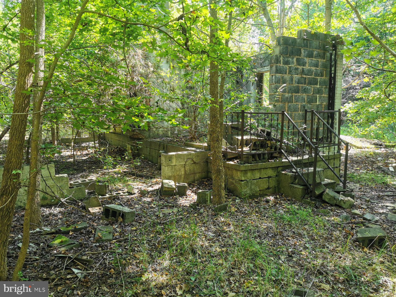 1725 Accokeek Road Accokeek, MD 20601 - Photo 4 of 5 a backyard of a house with lots of green space