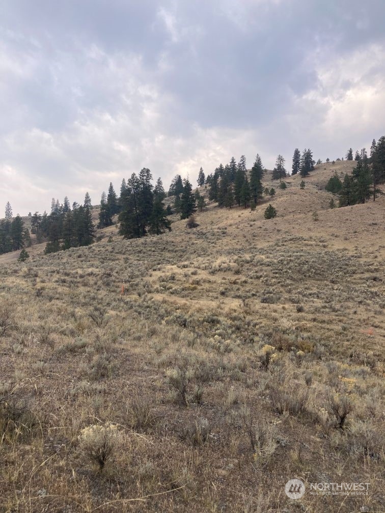 983 State Rte 20 Tonasket, WA 98855 - Photo 13 of 22 Gallery Image 13