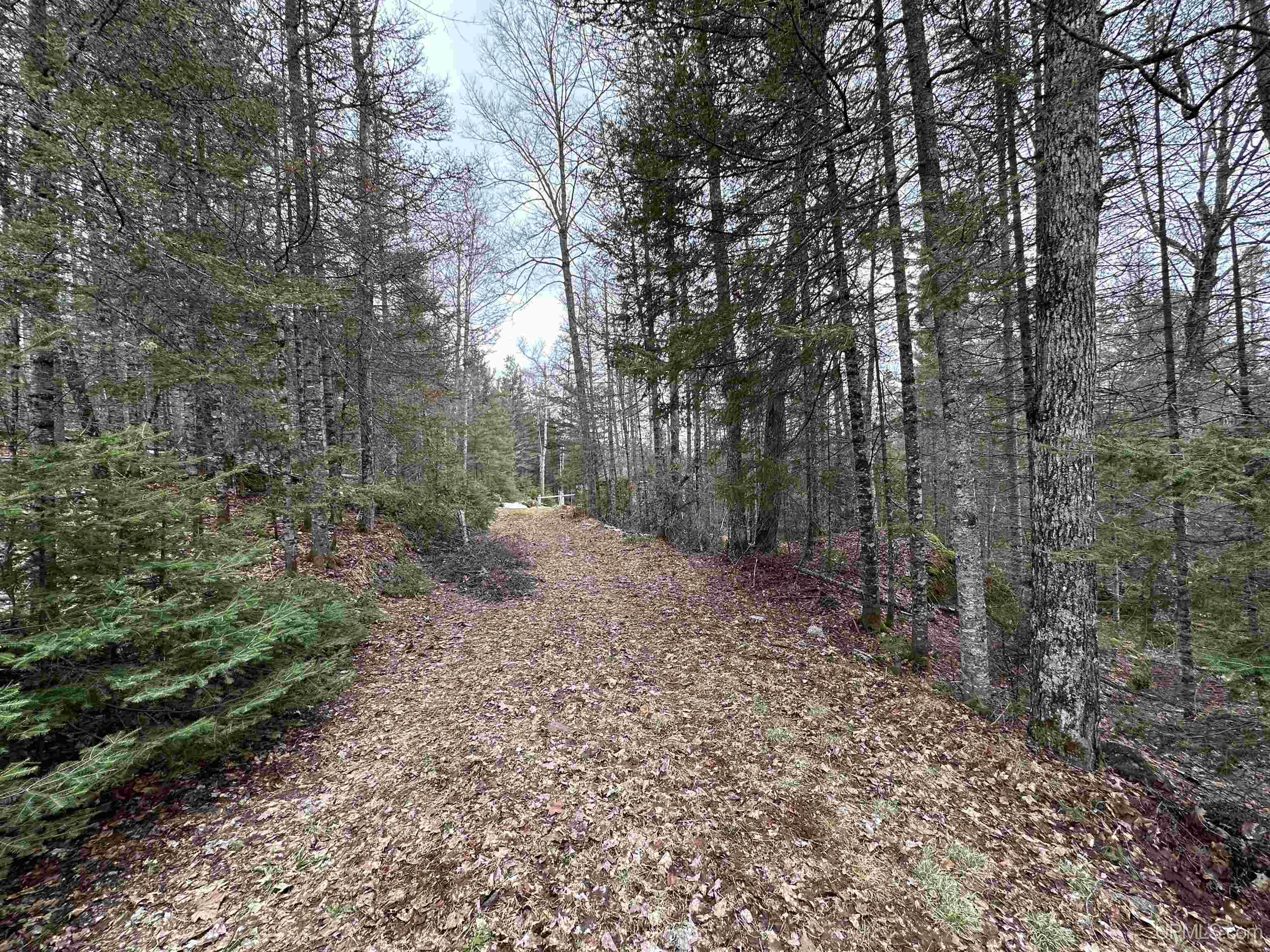 16627 Big Rock Road Champion, MI 49814 - Photo 22 of 31