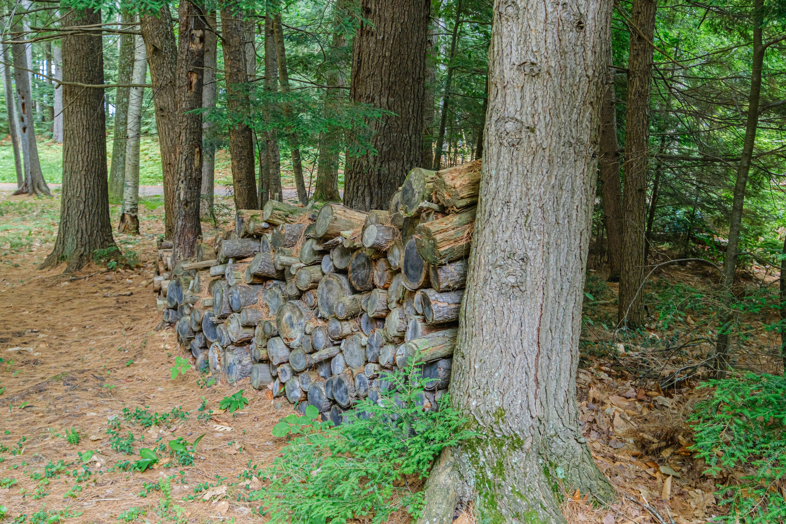 158 Pine Point Road Oxford, ME 04270 - Photo 10 of 85 20250714gp-61011