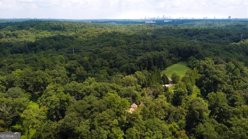 2100 West Wesley Road Northwest Atlanta, GA 30327 - Photo 41 of 42 an aerial view of residential houses with outdoor space and trees