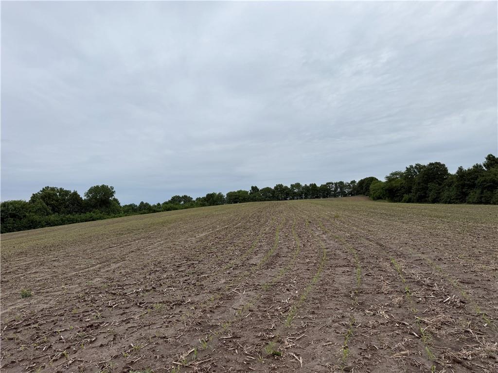 Cotton Road Purdin, MO 64674 - Photo 11 of 14