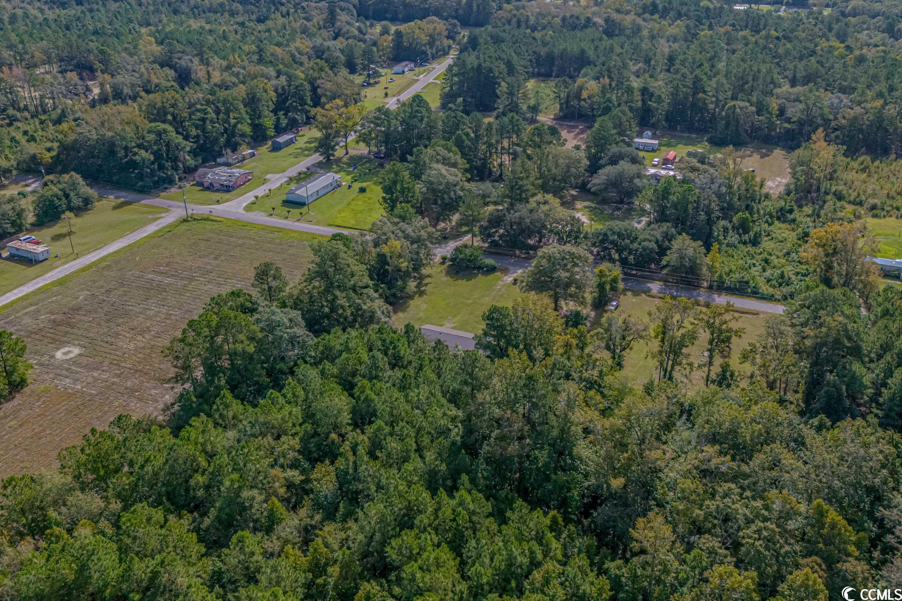 1057 County Rd S-22-790 Hemingway, SC 29554 - Photo 34 of 35