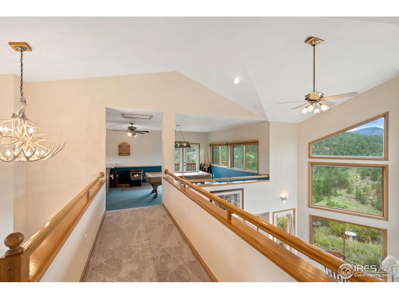 366 North Rim Road Livermore, CO 80536 - Photo 16 of 30