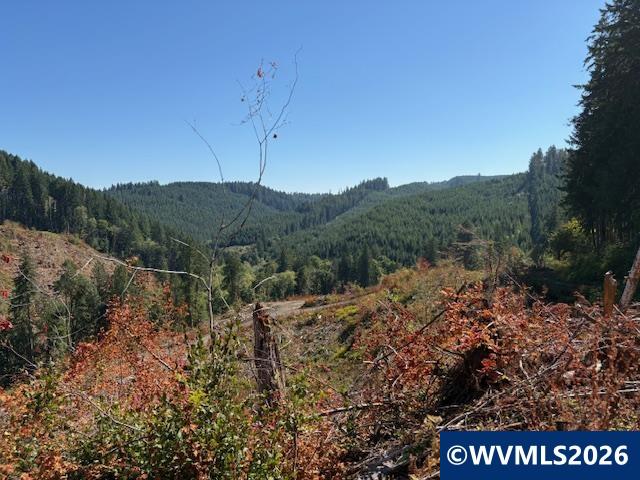 0 Van Horn Road Alsea, OR 97324 - Photo 3 of 16