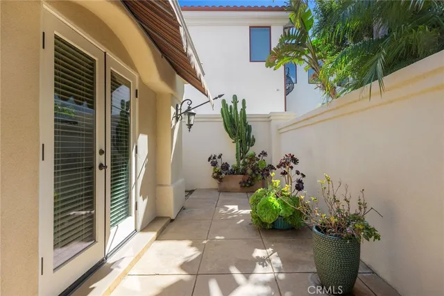 a view of a potted plants with sky view