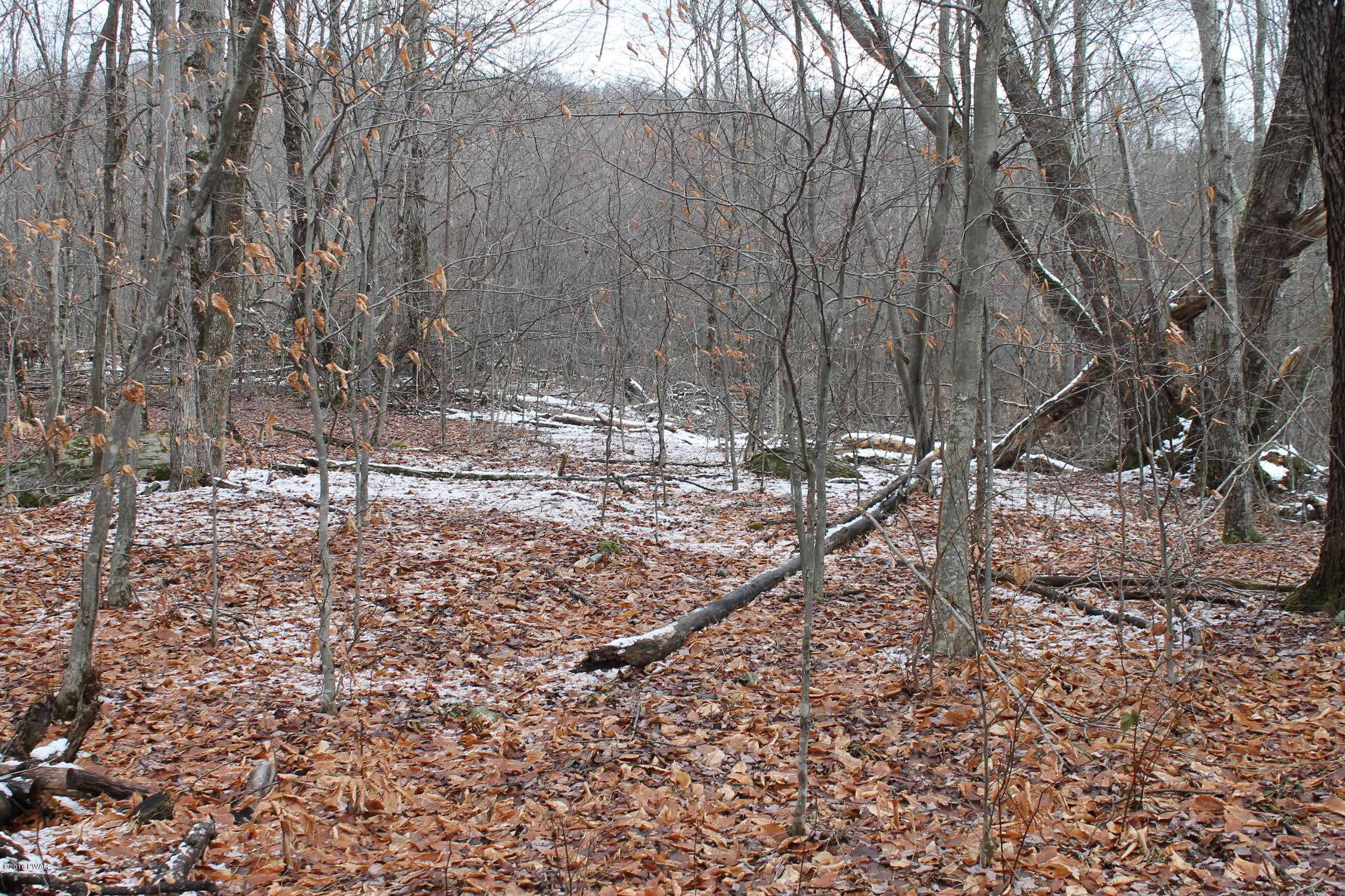 Rd Road East Branch, NY 13756 - Photo 7 of 9