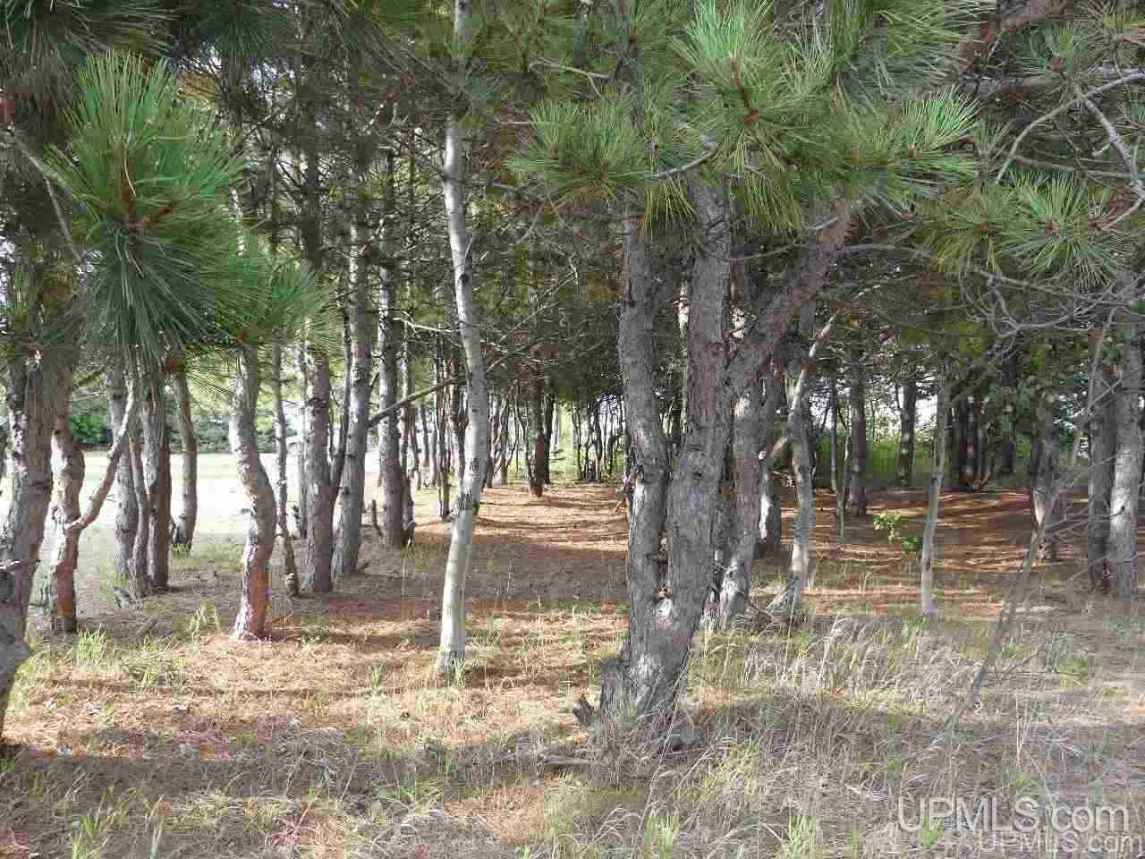 21921 East Coast Guard Point Road Grand Marais, MI 49839 - Photo 16 of 23 Gallery Image 16