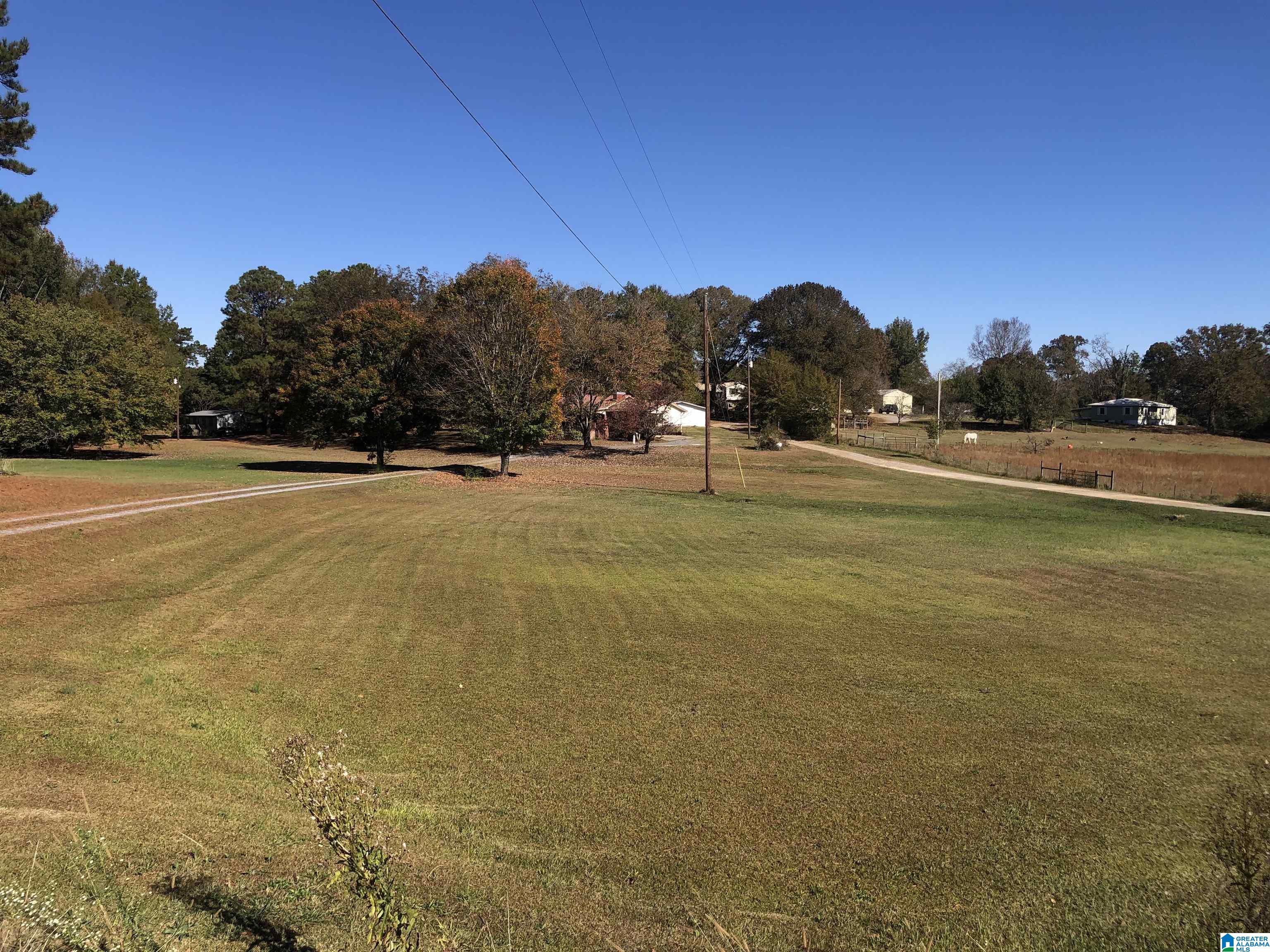 434 Flag Pole Mountain Road Childersburg, AL 35151 - Photo 15 of 71