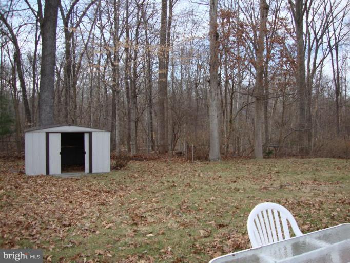 5236 Inverchapel Road Springfield, VA 22151 - Photo 3 of 7 a backyard of a house with lots of green space