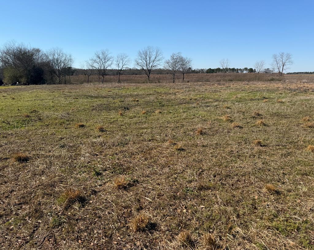 Lot 1 Culver Road Newville, AL 36353 - Photo 1 of 8 Main View