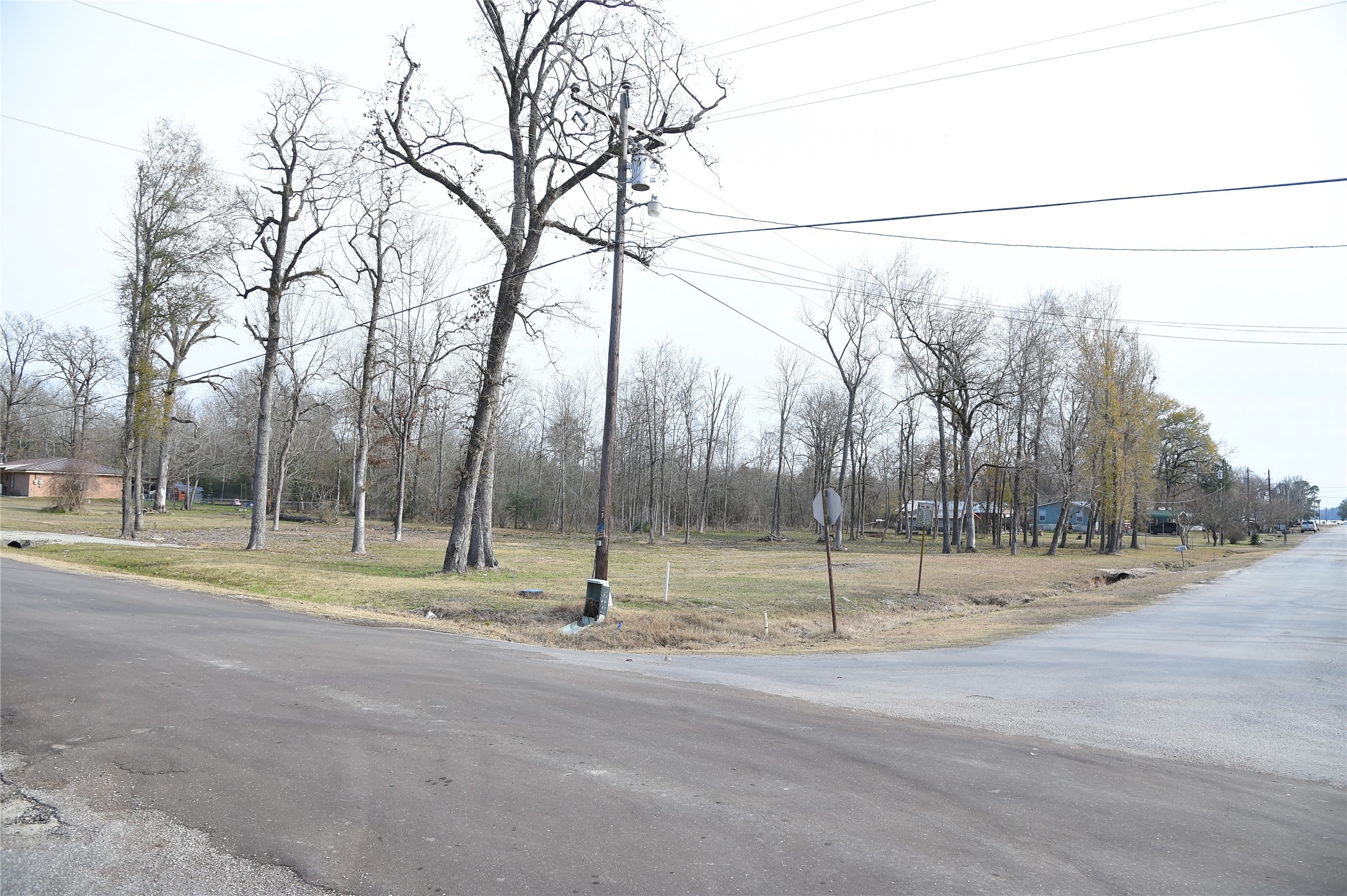 0 Armadillo Rd. Drive Trinity, TX 75862 - Photo 6 of 7 a view of outdoor space with street