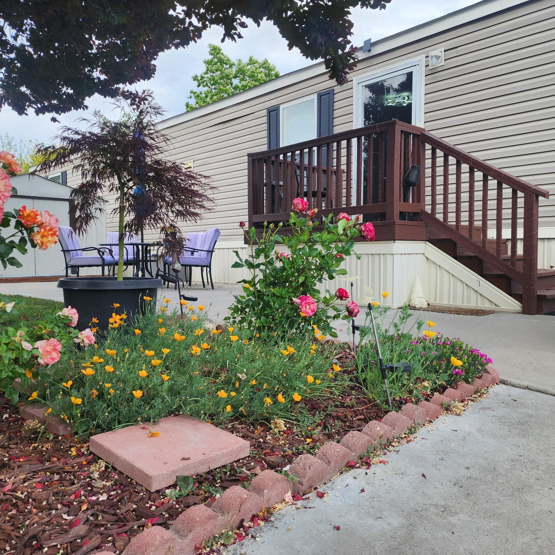 3251 E Road, Unit 99 Clifton, CO 81520 - Photo 4 of 25 a view of a backyard with potted plants