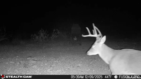 a view of city and ocean