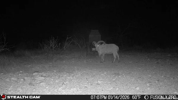 a view of a room with a yard